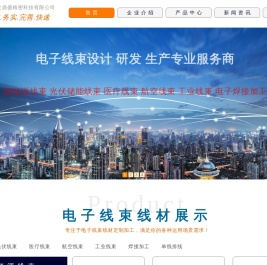 成都电子线材厂家【百世鼎盛】四川工业线束