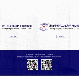 九江中星医药化工有限公司