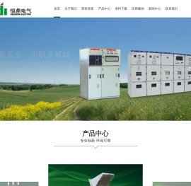 乐清市恒鼎电气有限公司