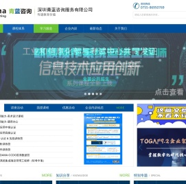 深圳青蓝咨询服务有限公司
