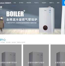 广东燃气采暖热水炉厂家