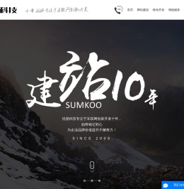 大连网站建设公司