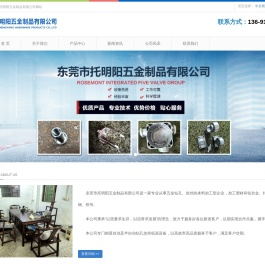 东莞市托明阳五金制品有限公司