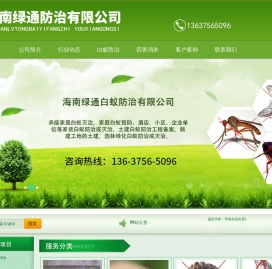网站首页