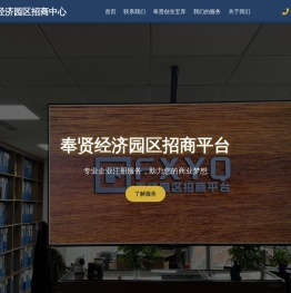 奉贤开发区招商平台