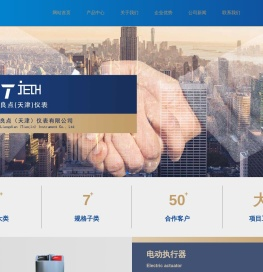 良点（天津）仪表有限公司