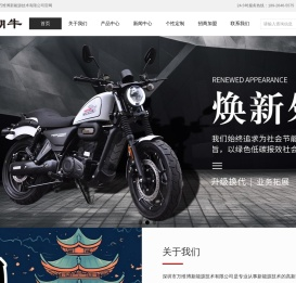 品牌电摩
