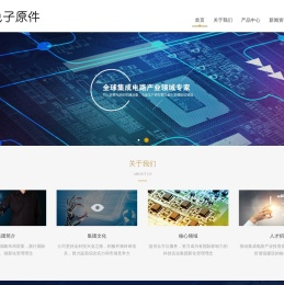 山东博创未来电子技术有限公司