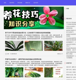 花儿网