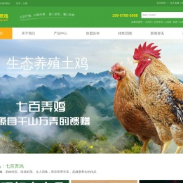 七百弄鸡网提供广西大化七百弄鸡销售