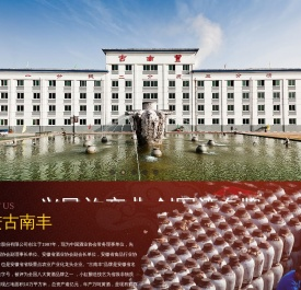 安徽古南丰实业股份有限公司