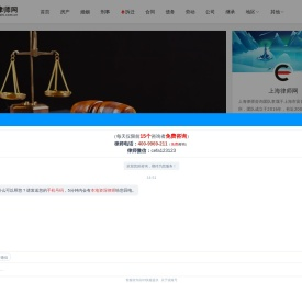 专业上海律师咨询