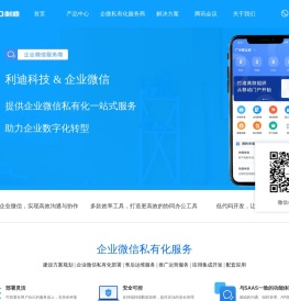 利迪科技