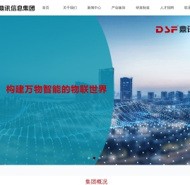 鼎讯信息产业集团有限公司
