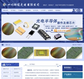 四川微固光电有限公司微电子