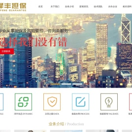 四川泽丰非融资性担保有限公司