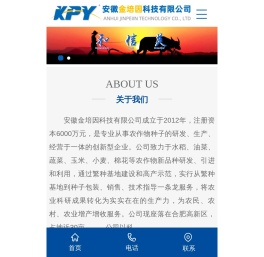 安徽金培因科技有限公司