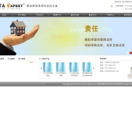 税务师事务所信息化专家