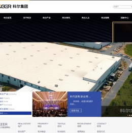 科尔集团