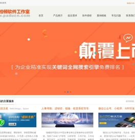 东莞柏顿软件
