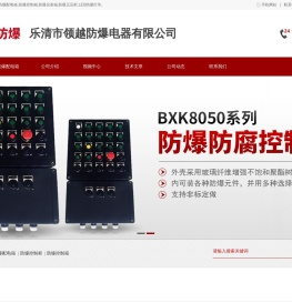 乐清市领越防爆电器有限公司