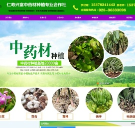毛慈菇种苗,天冬种苗,中药材种苗,百合种苗,黄精种苗