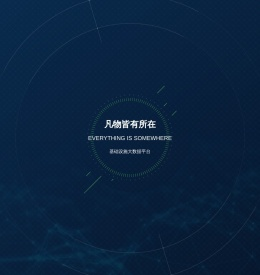 呈观信息