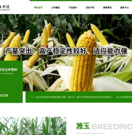 雅玉科技