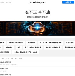 顺达丰有限公司