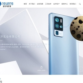 惠州市清洋实业有限公司