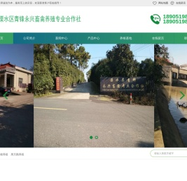 南京生猪养殖