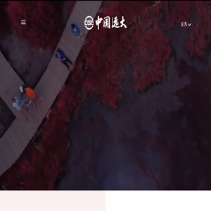 中国远大集团
