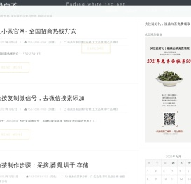 福鼎白茶