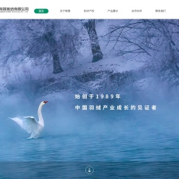 安徽华兴羽绒制品有限公司