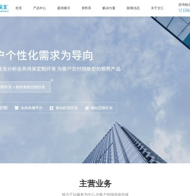 软件公司