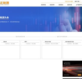 北京金正纵横信息咨询有限公司