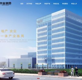 山东华业投资集团有限公司