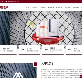 苏州美格控股有限公司