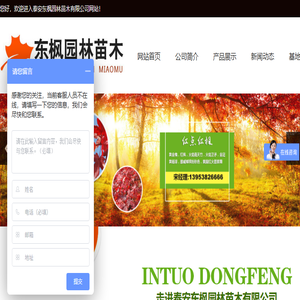 泰安东枫园林苗木有限公司,泰安东枫园林,东枫园林,泰安东枫园林有限公司,泰安红枫价格,泰安火焰南天竹,泰安火焰南天竹基地,泰安红枫基地