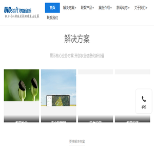 安徽联智创新软件有限公司