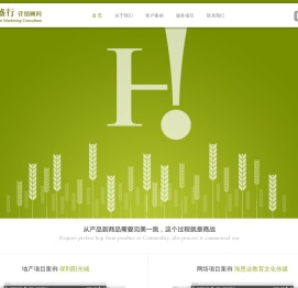 深圳网站建设,网站设计,FLASH网站制作