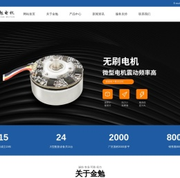 筋膜枪电机