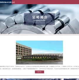 杭州蓝海精密轴承有限公司