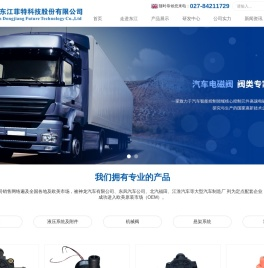 武汉东江菲特科技股份有限公司