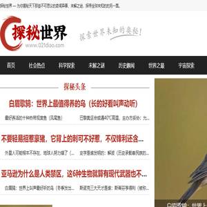 探秘世界