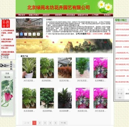 北京绿植租摆,北京花卉租赁,北京绿植送货