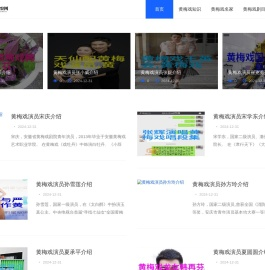百思通黄梅戏观察网