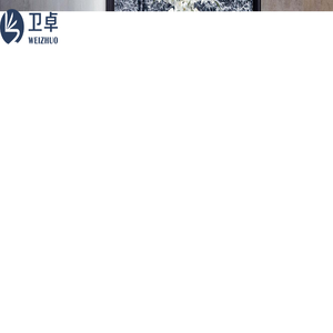 台州市卫卓智能科技有限公司
