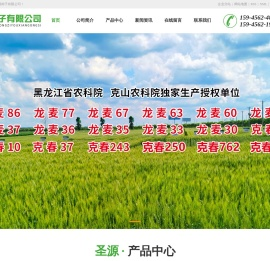 龙麦