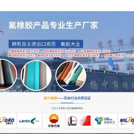 氟胶o型圈